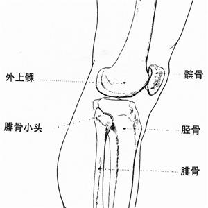 右股骨髁间粉碎性骨折、左髌骨粉碎性骨折被鉴定为七级工伤