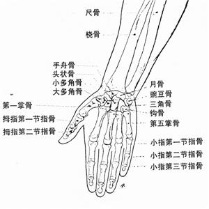 左手示、中指切割伤（近指间关节骨折、关节面缺损、关节囊侧副韧带损伤、血管神经损伤）被鉴定为九级工伤
